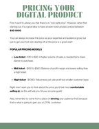 The Ultimate Faceless Playbook + MRR & PLR Rights